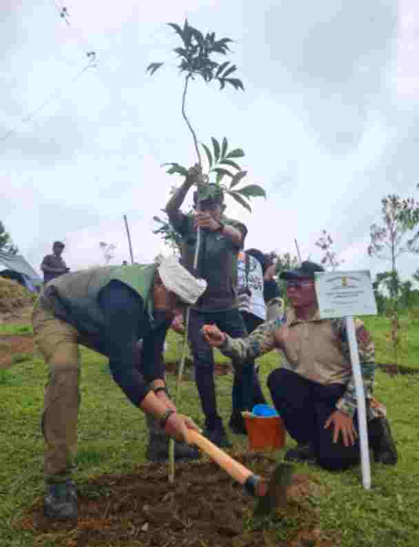 Pinus Ecofest 2025: Merawat Alam, Menyatu dengan Budaya, dan Menjalin Harmoni Generasi