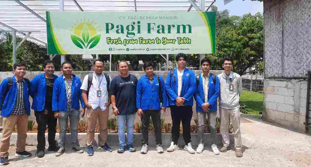 Tanam Harapan di Tengah Beton: UPER Hadirkan Urban Farming yang Ramah Lingkungan