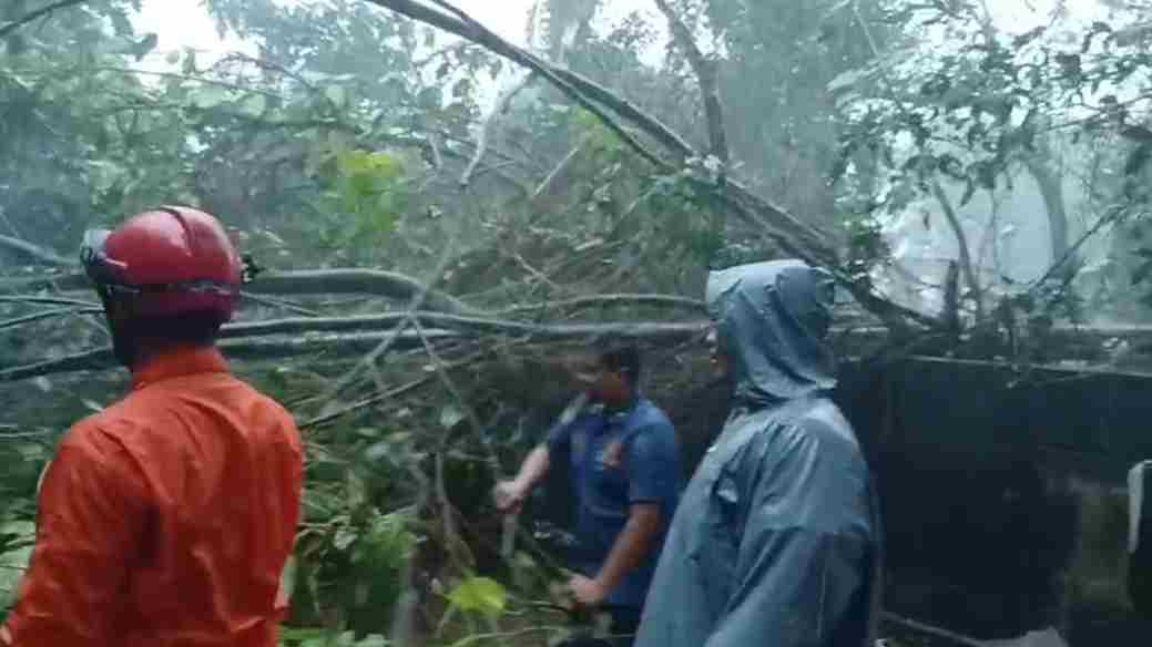 Pohon Tumbang Blokir Jalan Tapos–Sukatani, Arus Lalu Lintas Sempat Dialihkan