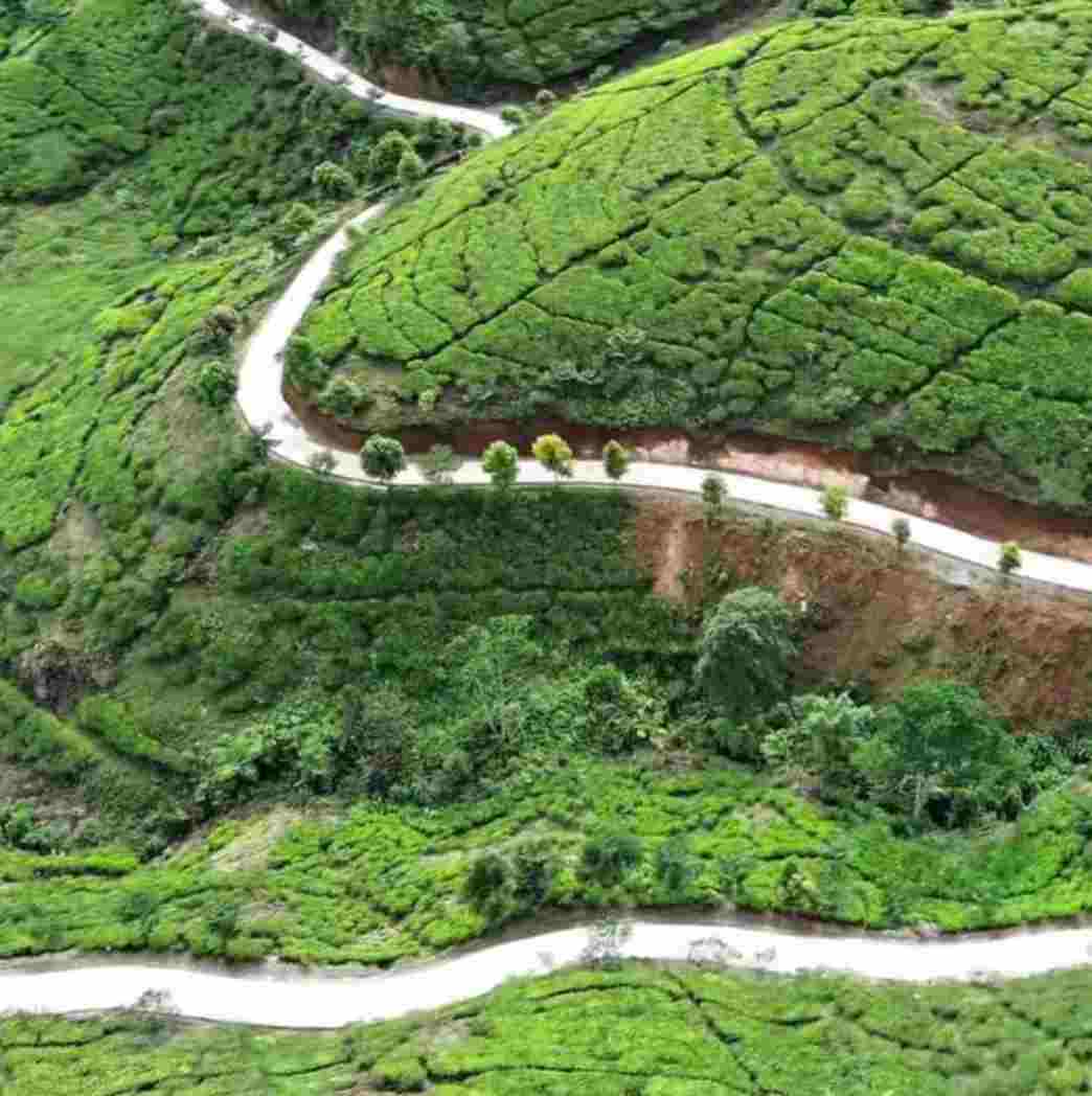 Jalan Mulus, Wisata Melonjak: Nirmala Bogor Mendadak Jadi Magnet Libur Lebaran